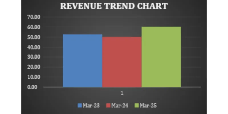 Financial Statement Analysis